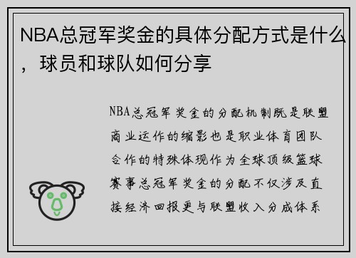 NBA总冠军奖金的具体分配方式是什么，球员和球队如何分享